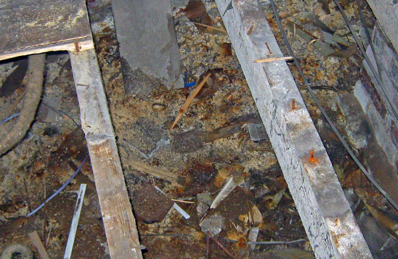 NM Preservation & Restoration