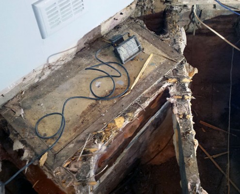 Solum Upgrade and Dry Rot works
