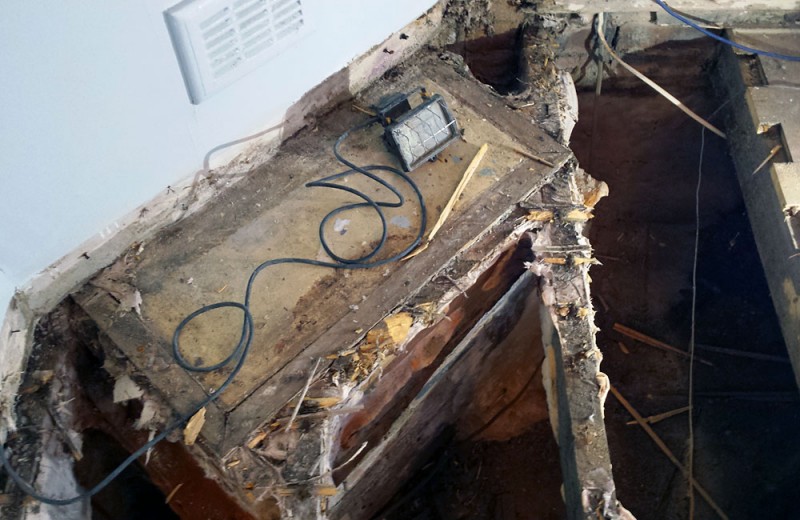 Solum Upgrade and Dry Rot works