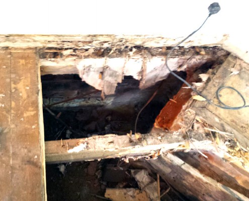 HarcourtRoad-2 Solum Upgrade and Dry Rot works
