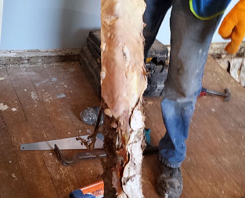 HarcourtRoad-3 Solum Upgrade and Dry Rot works