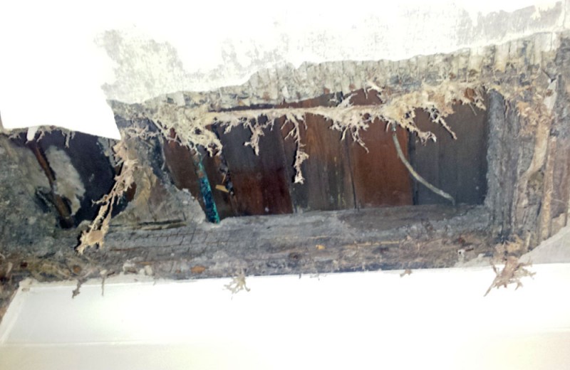 Bell Preservation & Restoration