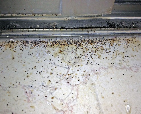 Condensation Control