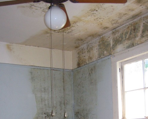 Condensation Control