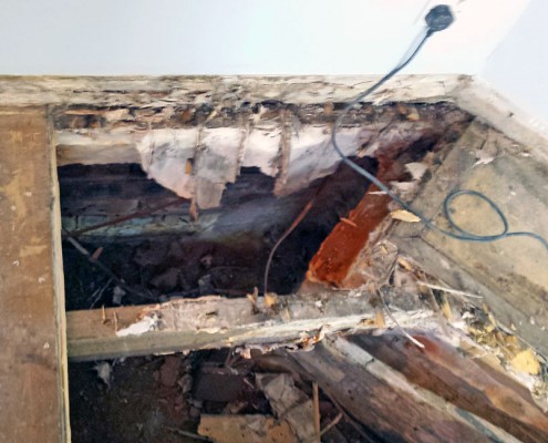 Dry Rot