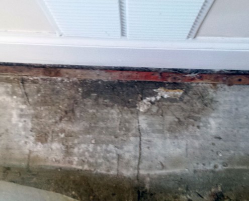 Dry Rot