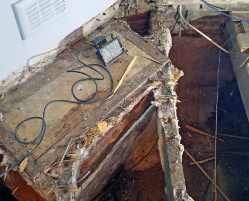 Dry Rot