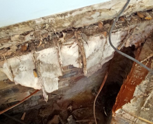 Dry Rot