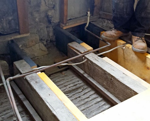 Dry Rot