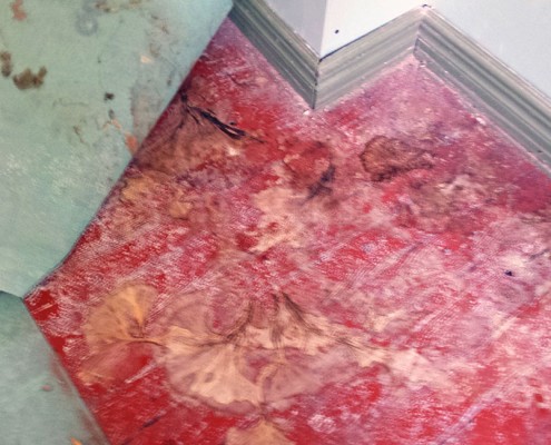 Dry Rot