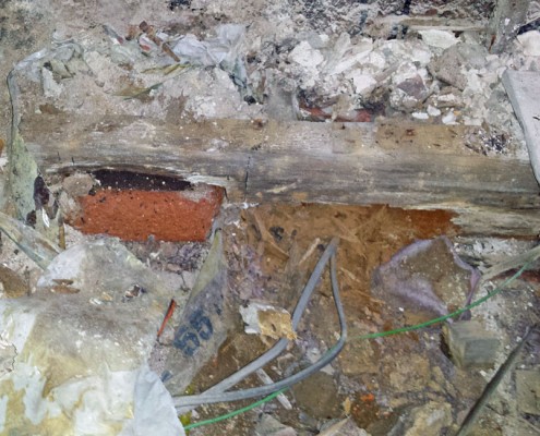 Dry Rot