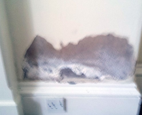 Rising Damp Rising Damp