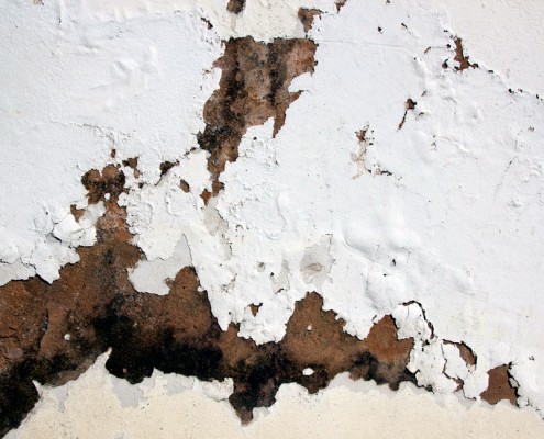 Rising Damp Rising Damp