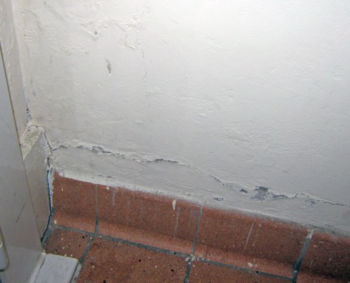 Rising Damp Rising Damp