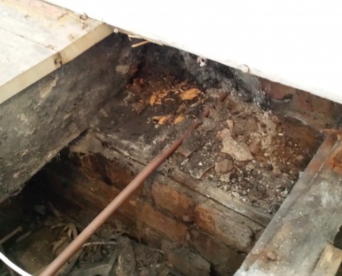 Wet Rot Wet Rot