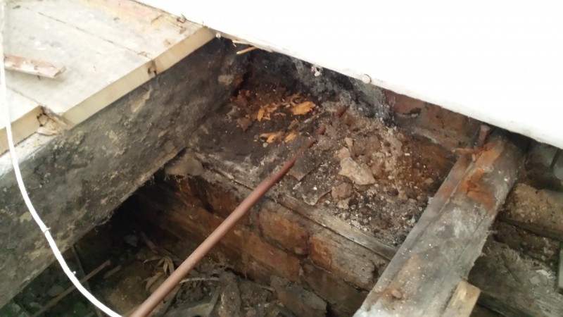 Wet Rot