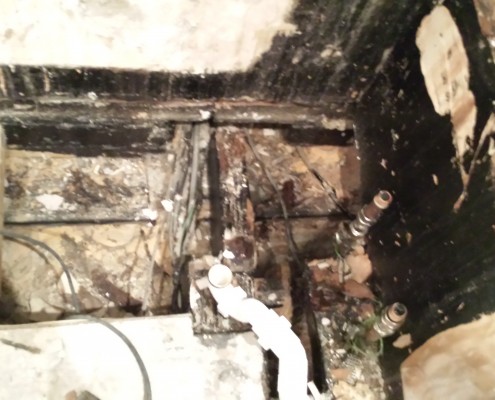 Wet Rot Wet Rot