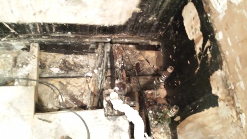 Wet Rot