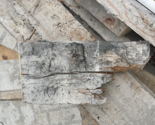 Wet Rot Wet Rot