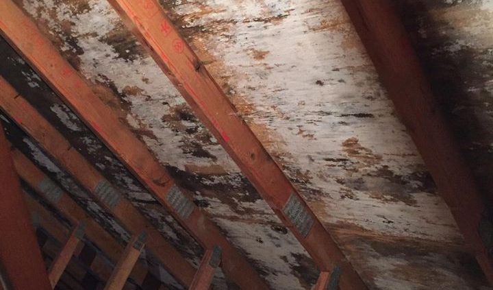 Bell Preservation - Fairmount Drive, Sauchie Bell Preservation - Fairmount Drive, Sauchie